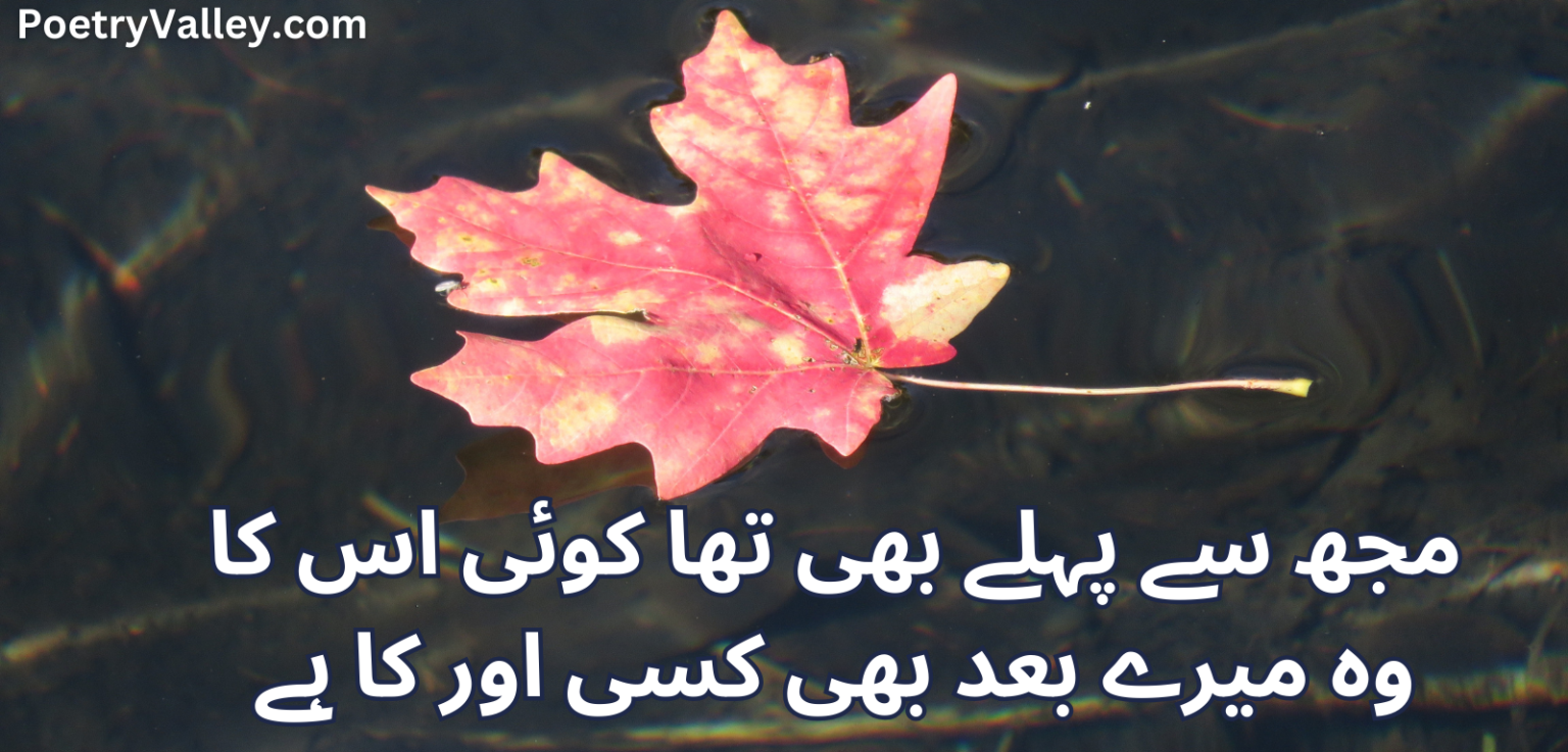2 Lines Urdu Poetry For WhatsApp Status (Copy & Paste) - Poetry Valley