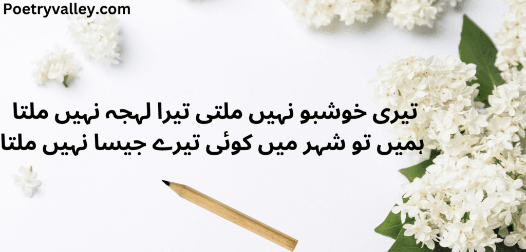 Mother's Day Poetry In Urdu