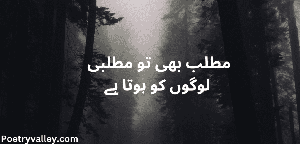 One Line Poetry In Urdu