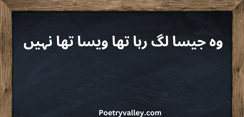 One Line Poetry In Urdu