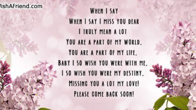 Missing You Poems for Her