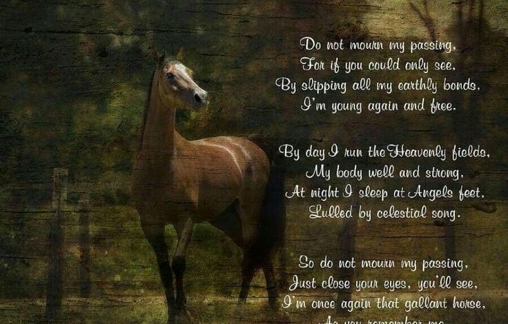 Rest in Peace Horse Loss Poems