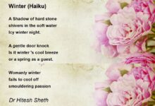 Winter Haiku Poems 5-7-5