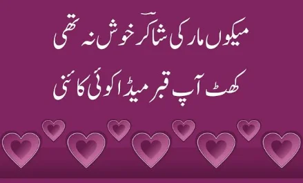 Munafiq Poetry By Shakir Shuja Abadi