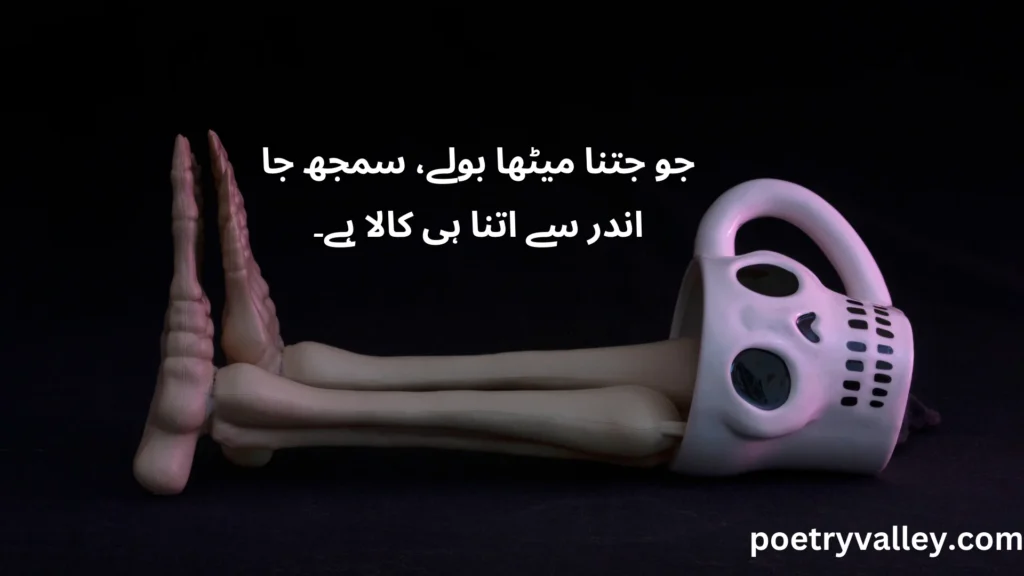 Munafiq Log Quotes to Express Real Feelings