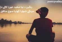 Munafiq Poetry in Urdu