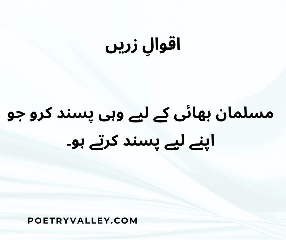 Beautiful Aqwal E Zareen In Urdu