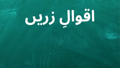 500+ Aqwal e Zareen in Urdu with Images | Golden Words of Wisdom