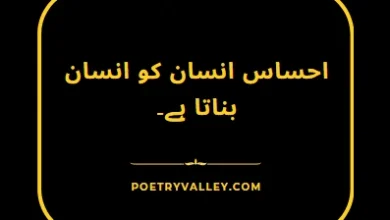 quotes in urdu