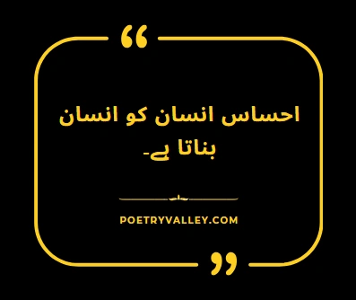 quotes in urdu
