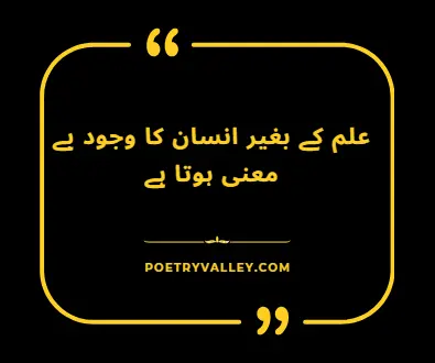 Inspiring Urdu Quotes About Love and Life