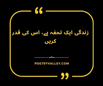 One Line Urdu Quote