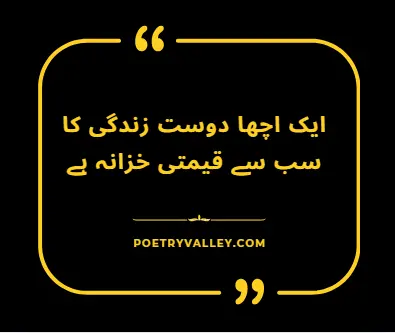 Friendship Quotes in Urdu