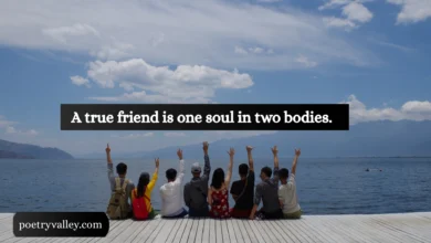 Rumi friendship quotes