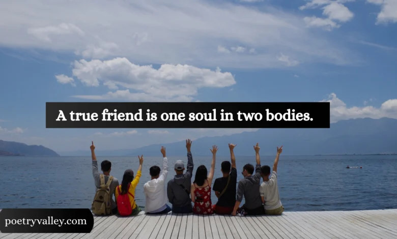 Rumi friendship quotes