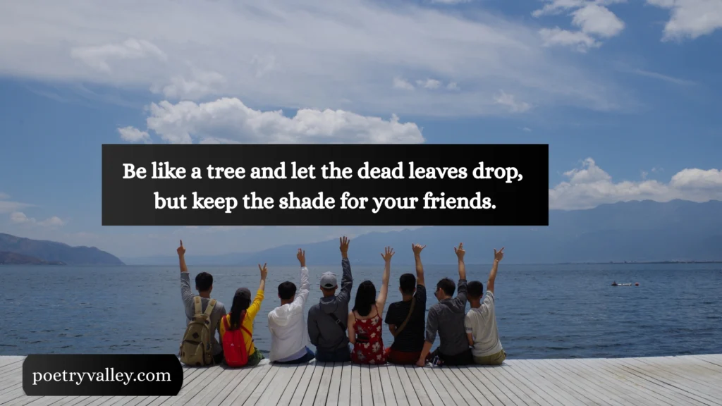 Rumi Quotes on Friendship in English