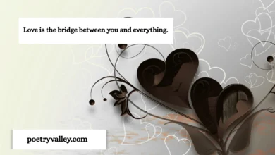 rumi love quotes