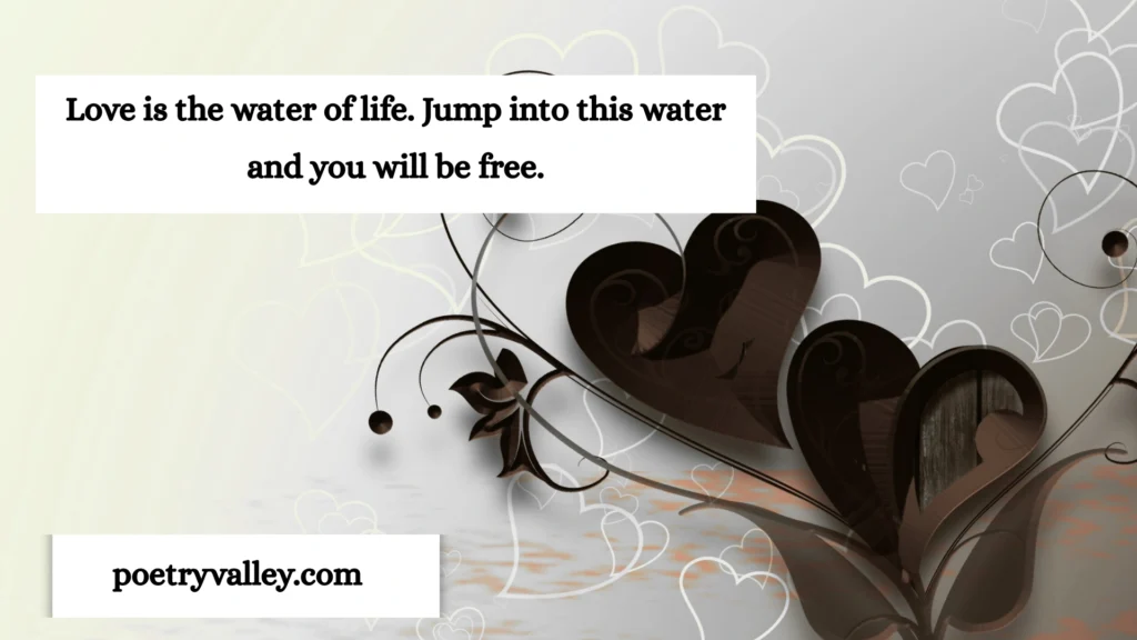 Famous Rumi Lines That Inspire Love