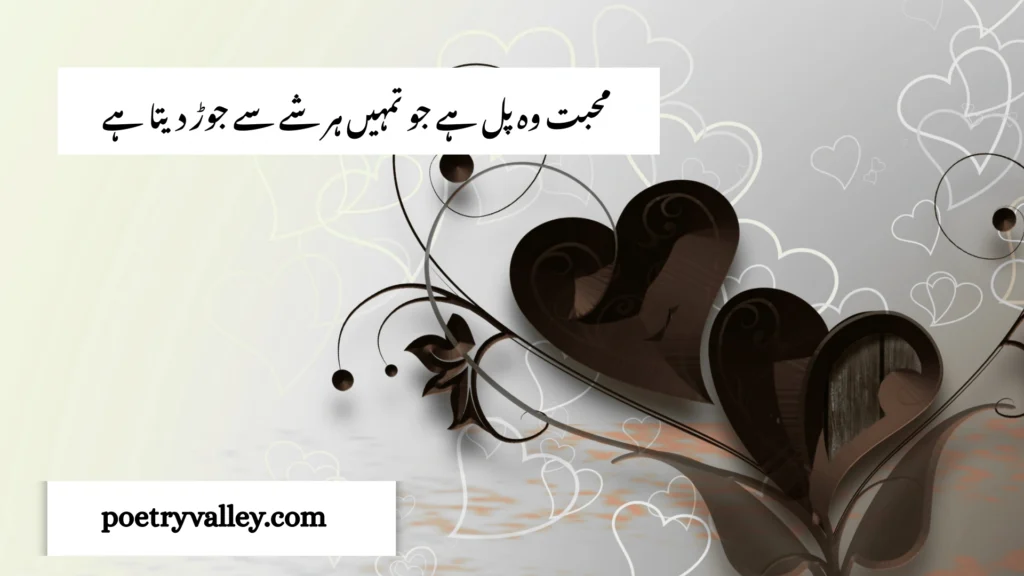 Rumi Love Quotes in Urdu