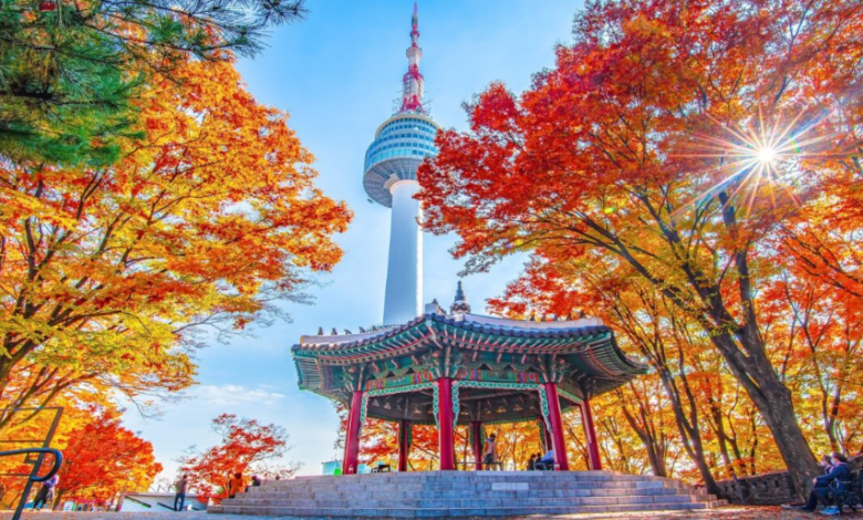 Between Urban Bustle and Mountain Calm: Nature Spots Near Seoul