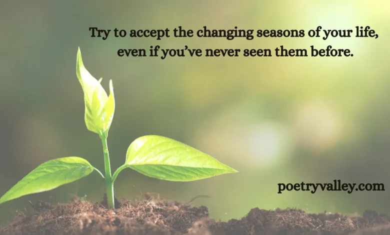 rumi quotes about life