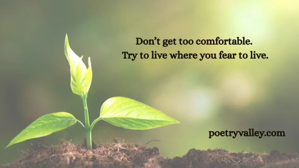 Rumi Quotes About Life