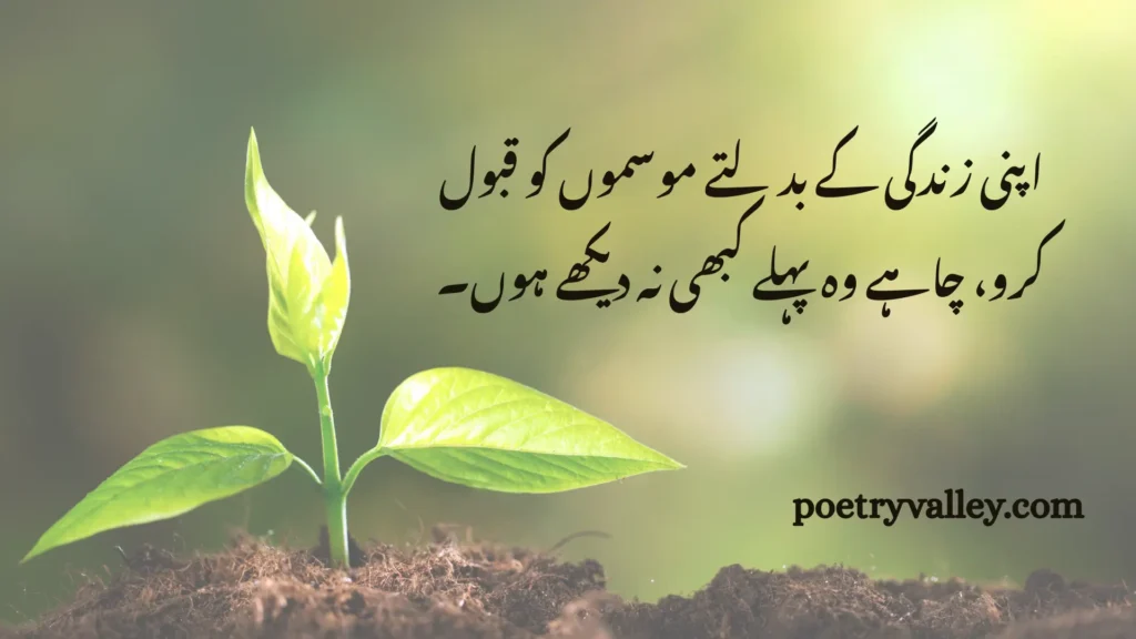 Rumi's Quotes About Life In Urdu