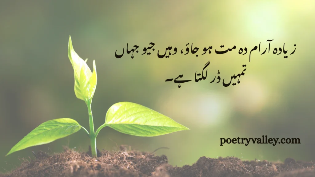 Rumi's Quotes About Life In Urdu