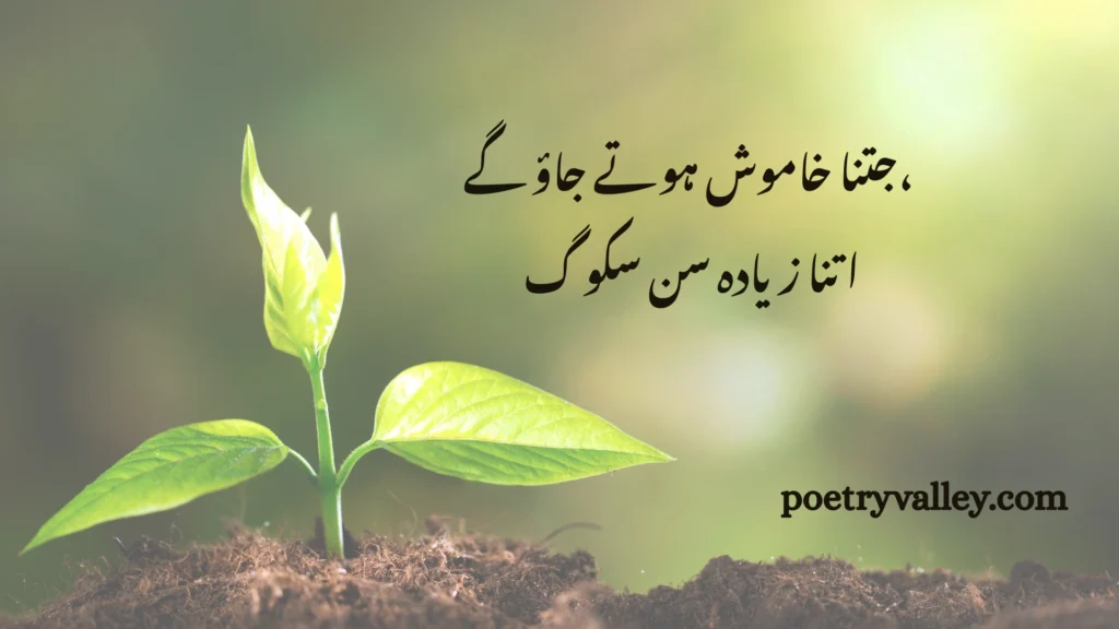 Rumi Quotes to Live a More Fulfilled Life In Urdu