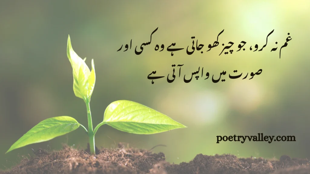 Rumi Quotes to Live a Life In Urdu