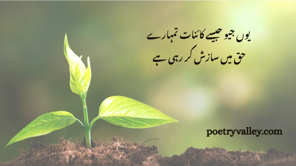 Rumi Quotes