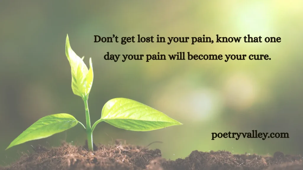 Rumi Life Quotes