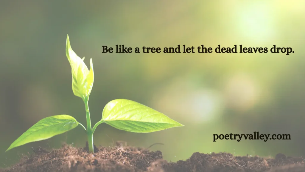 Rumi Quotes About Life In English