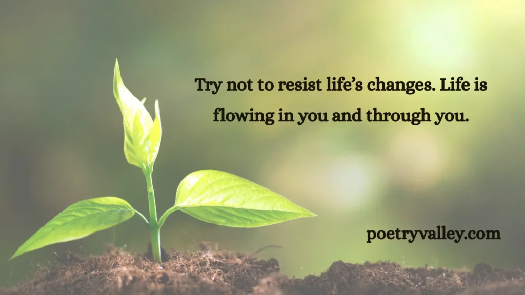 Rumi's Most Famous Quote
