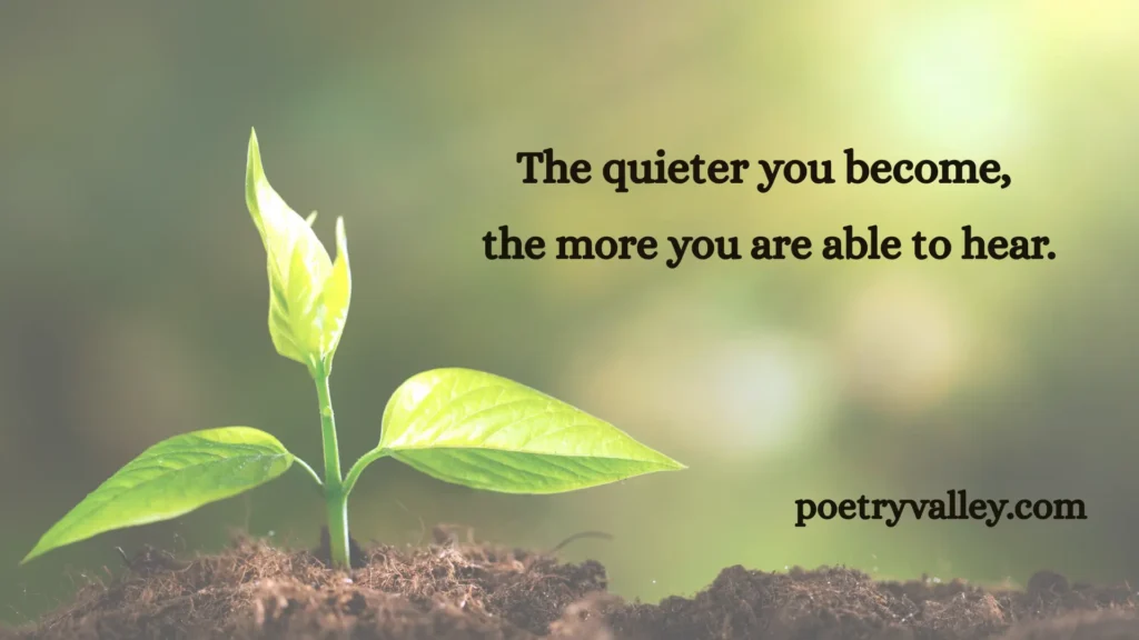 Rumi's Most Famous Quote
