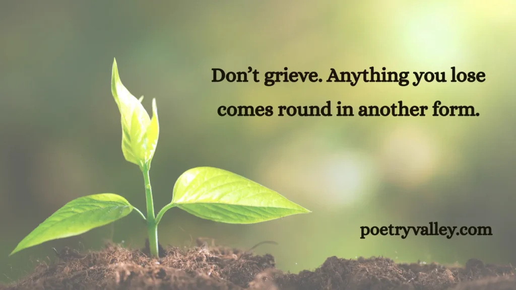 Rumi's Most Famous Quote
