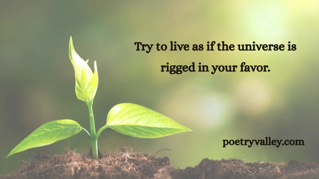 Rumi's Advice About Life