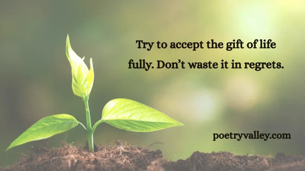 Rumi's Advice About Life