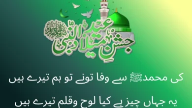 12 rabi ul awal Poetry in Urdu