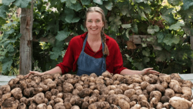 Different Types Of Potatoes Every Home Cook Should Know