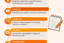 How to Write a Literary Analysis Essay: 5 Expert Tips for Mastering Poetic Commentary: A Guide for AP & College English