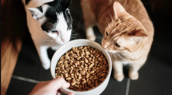 Cat Food Tin: Fresh and Convenient Storage for Your Feline’s Meals