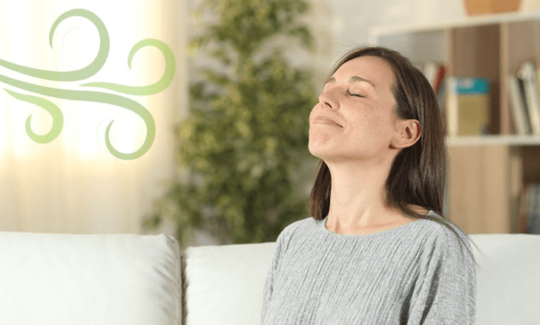 Why Indoor Air Quality Should Be a Priority for Every Homeowner