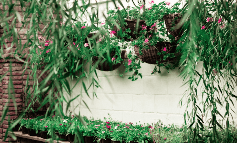 How to Budget for a Garden Wall Project Without Overspending