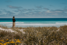 Your Guide to Planning the Perfect Perth Road Trip