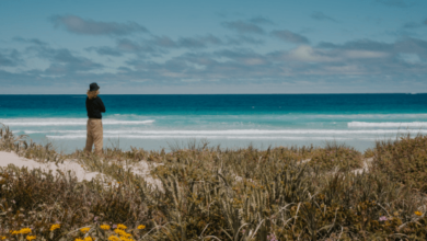 Your Guide to Planning the Perfect Perth Road Trip