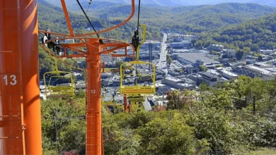 The 10 Best Romantic Getaway Deals to Gatlinburg, TN in 2026