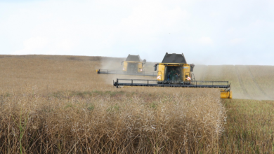 Practical Business Insights for Investing in Modern Farm Equipment