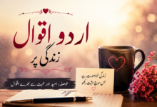 Urdu Quotes on Zindagi – Beautiful Life Quotes