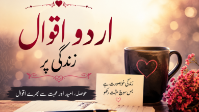 Urdu Quotes on Zindagi – Beautiful Life Quotes
